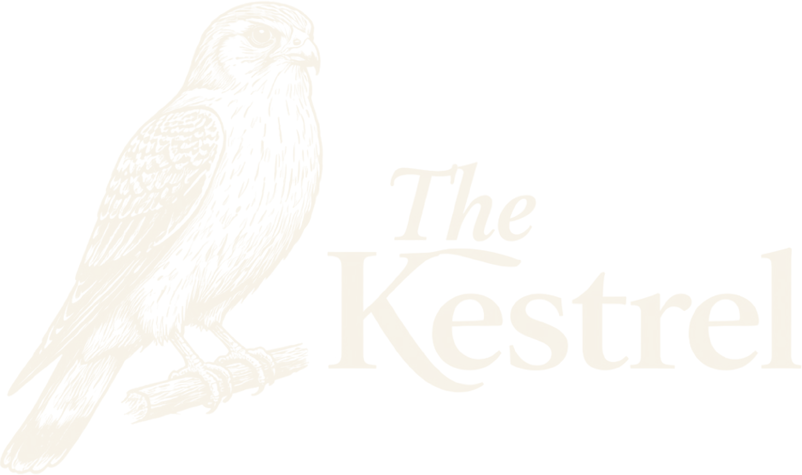The Kestrel, engraved plate
