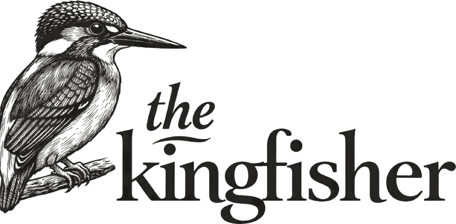 The Kingfisher, engraved specimen plate