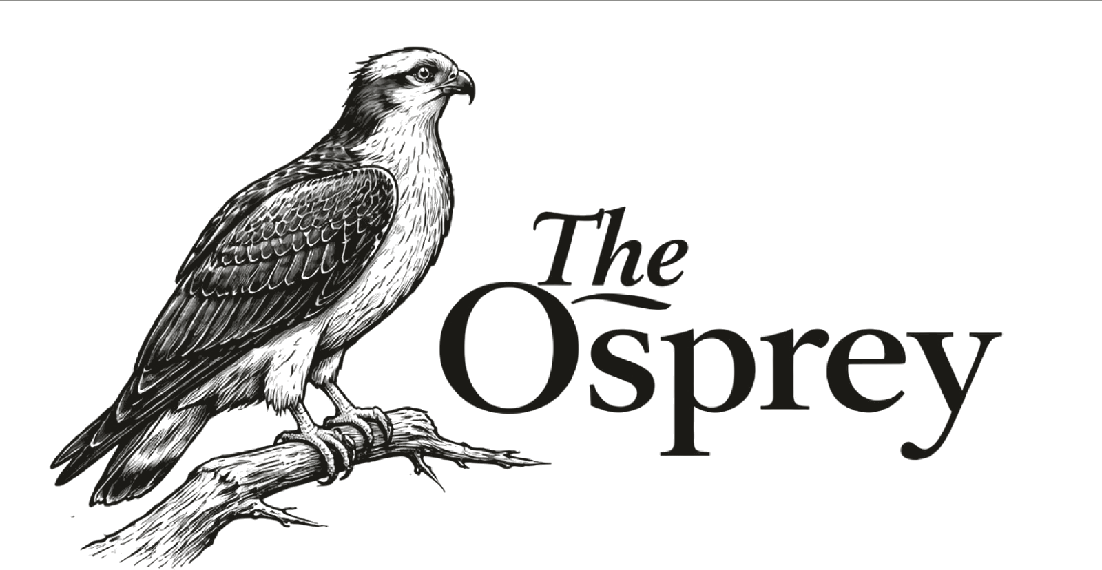 The Osprey, engraved specimen plate