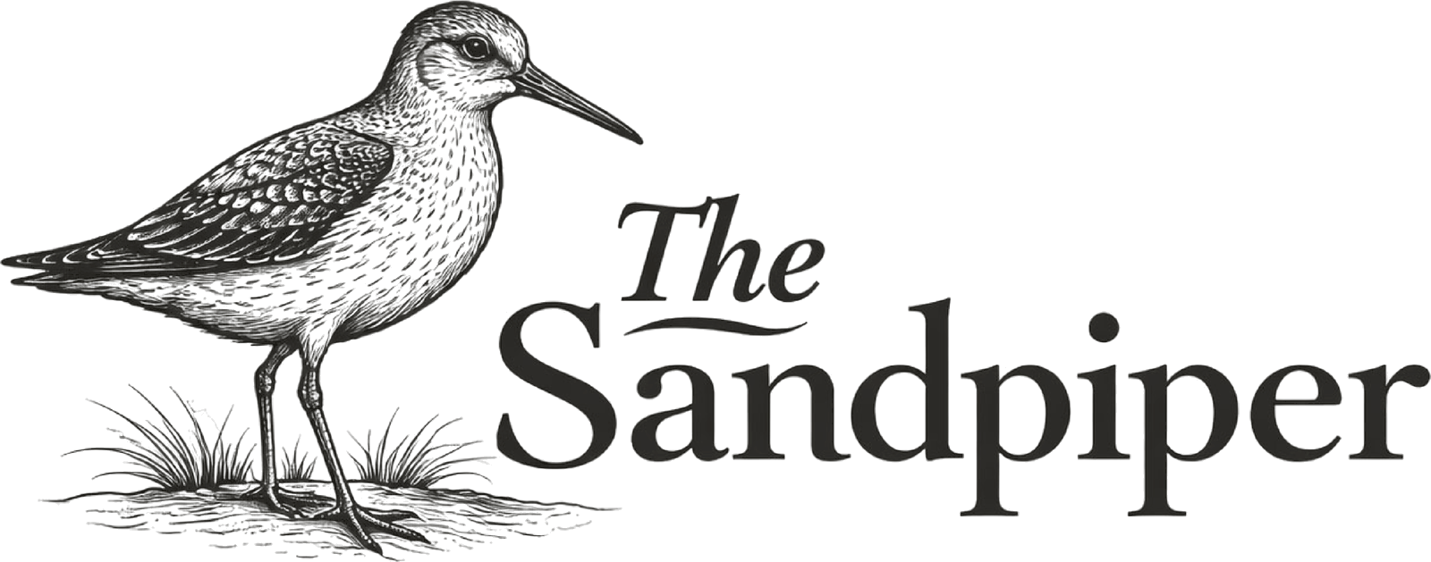 The Sandpiper, engraved specimen plate