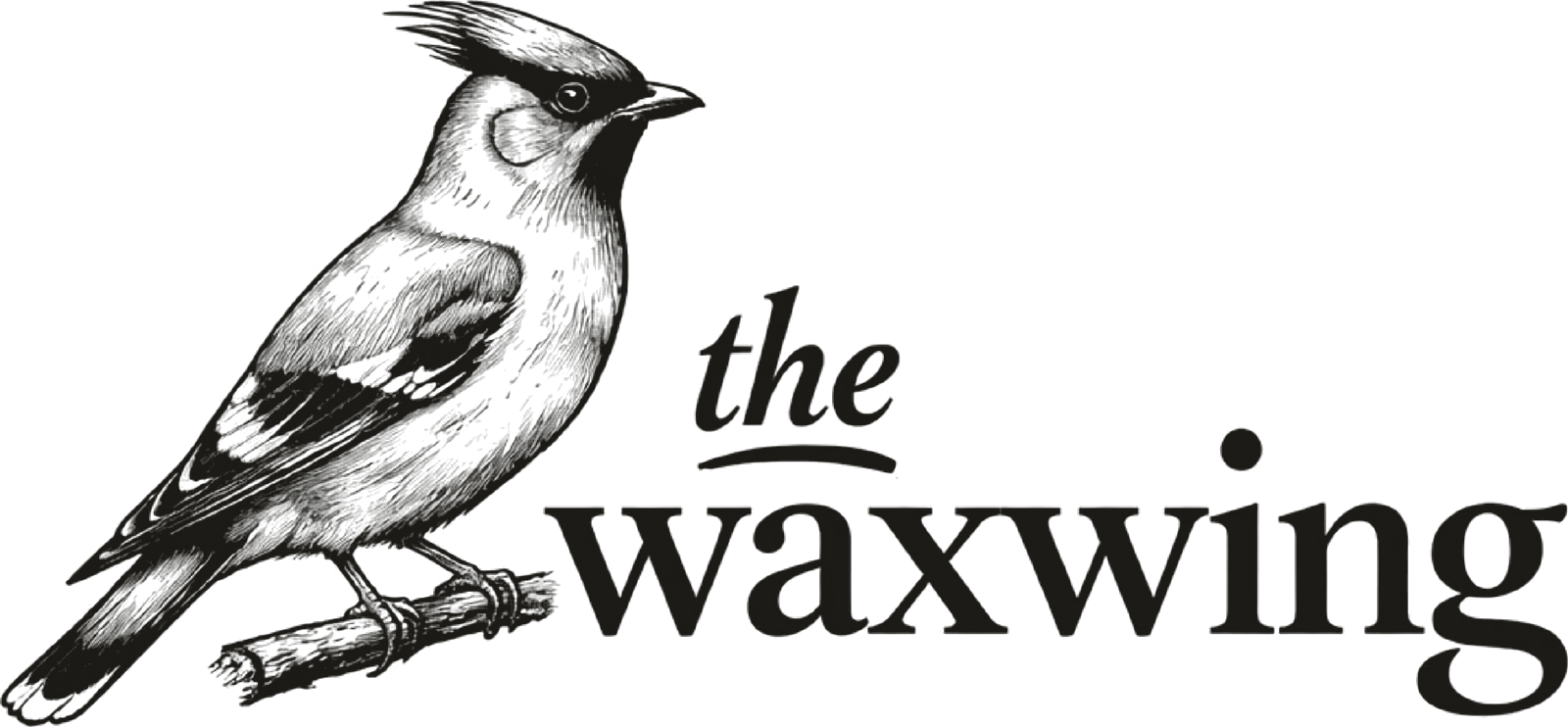 The Waxwing, engraved specimen plate